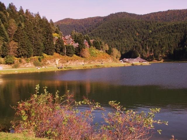 Gite Du Montagnol A Payolle Sainte-Marie-de-Campan Extérieur photo